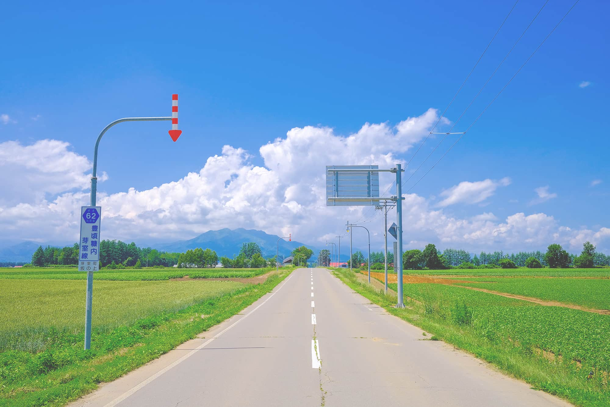 北海道芽室町の道